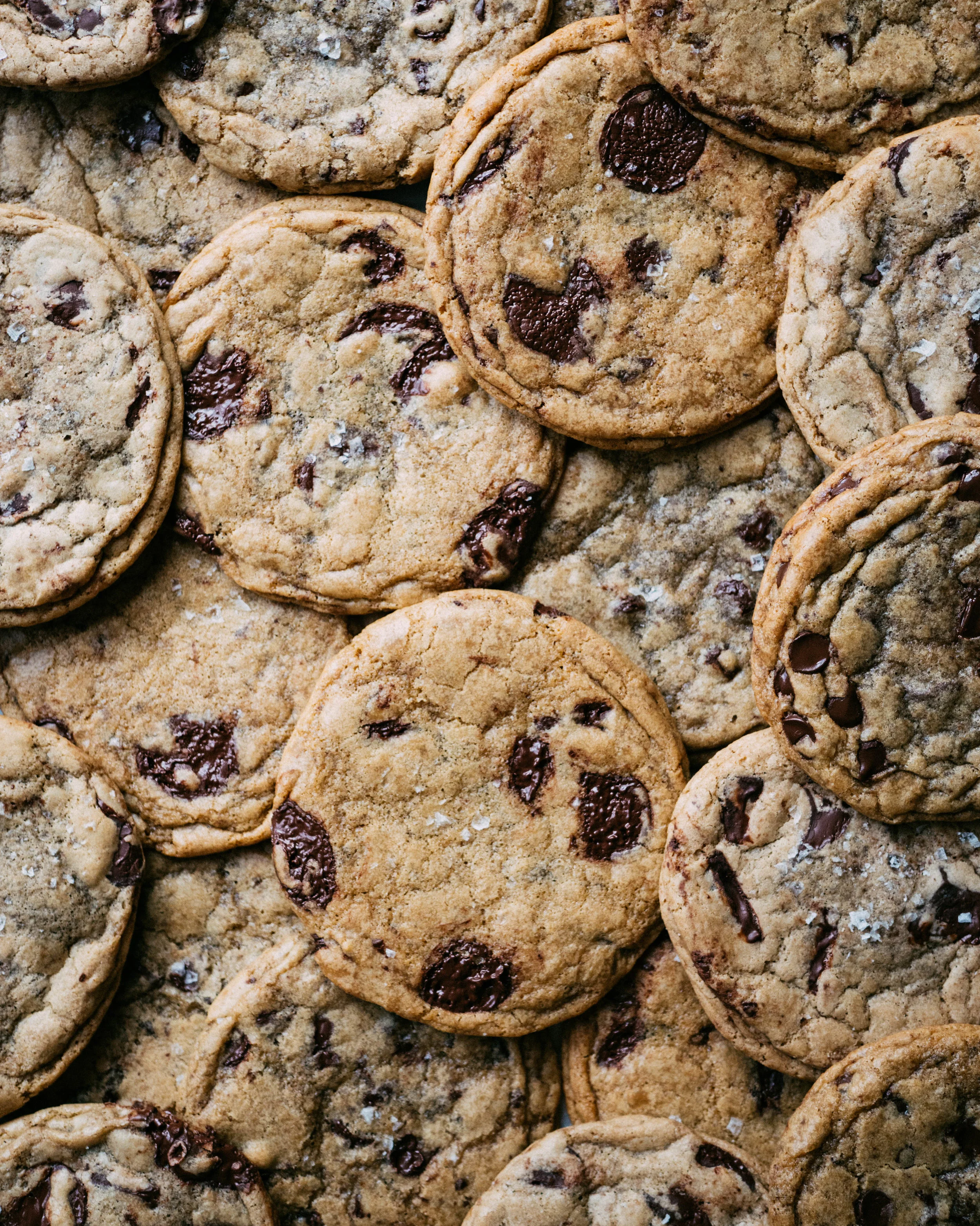 My Best Ever Chocolate Chip Cookie Recipe Cookie Chronicles